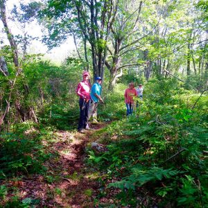 Corea Heath work day. Photo credit Rosemary Levin.