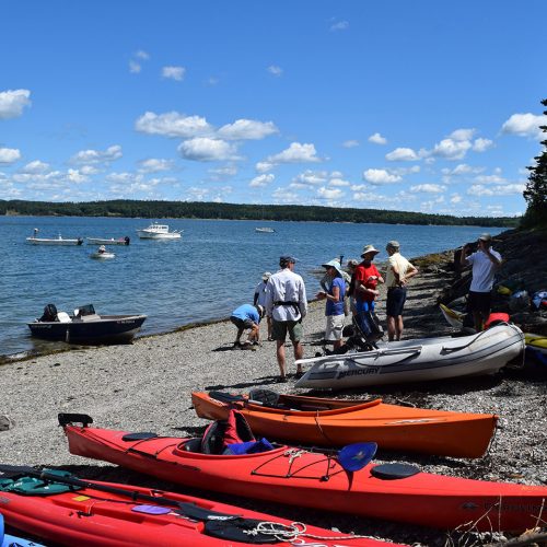 Bean Island Frenchman Bay Conservancy