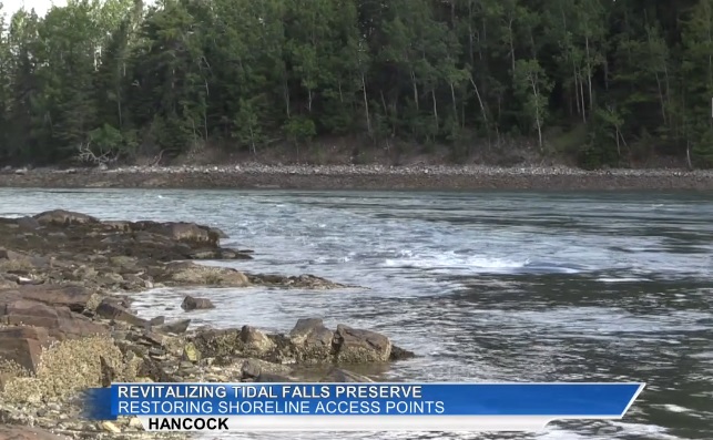 Capital Campaign to Revitalize Tidal Falls Preserve