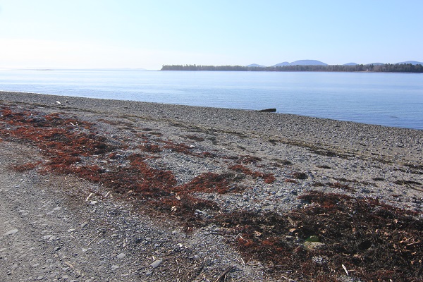 Help Keep Marlboro Beach Open