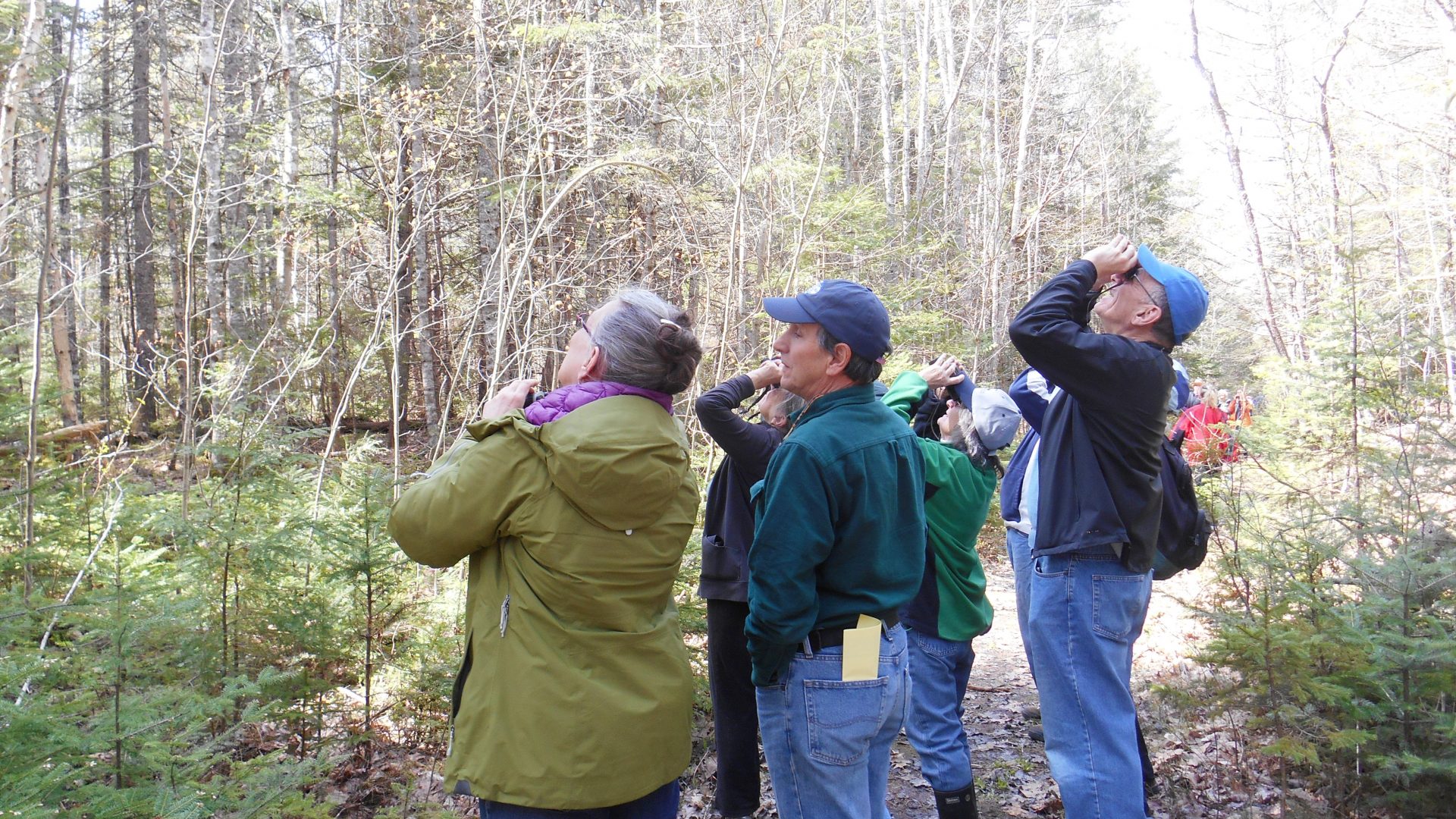 FBC- Birdwatching (Old Pond Railway Trail, Hancock)