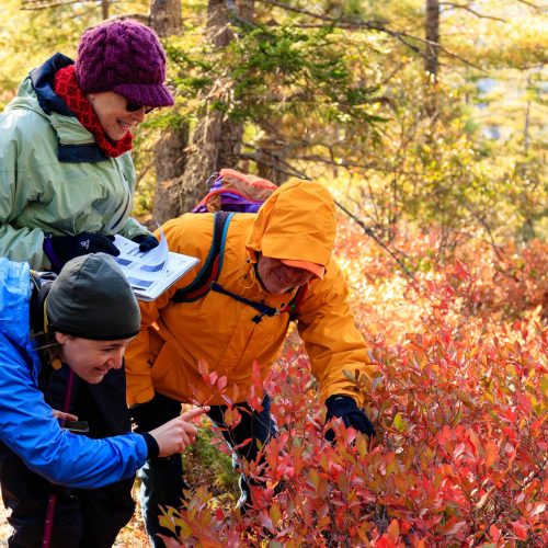 Baker Hill Frenchman Bay Conservancy