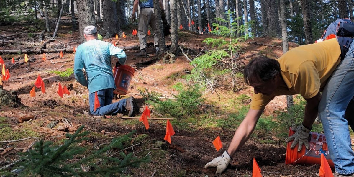 Volunteer Workday, Wednesday, August 12, 2020