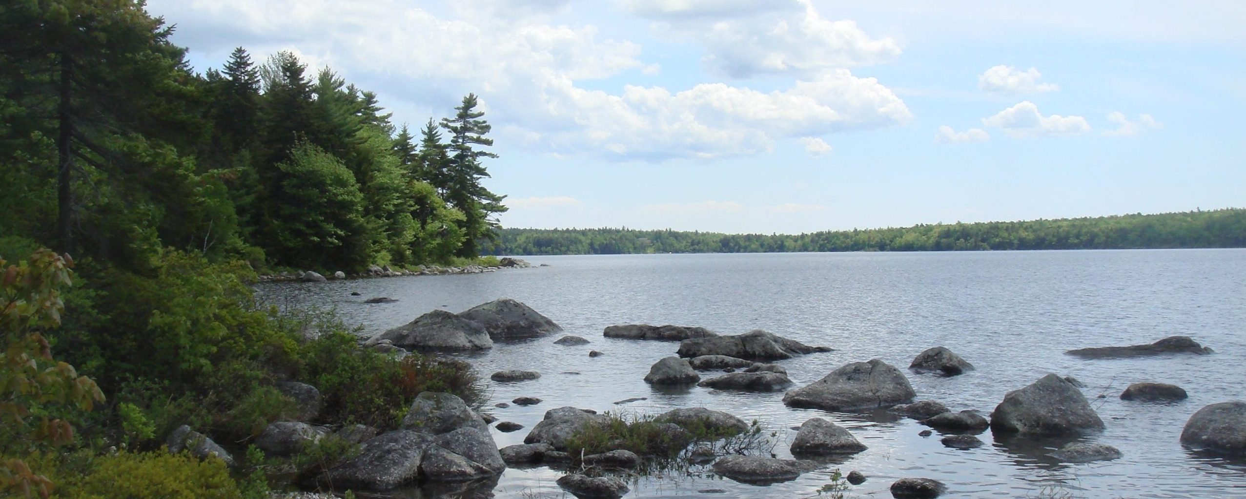 Branch Lake Public Forest Frenchman Bay Conservancy