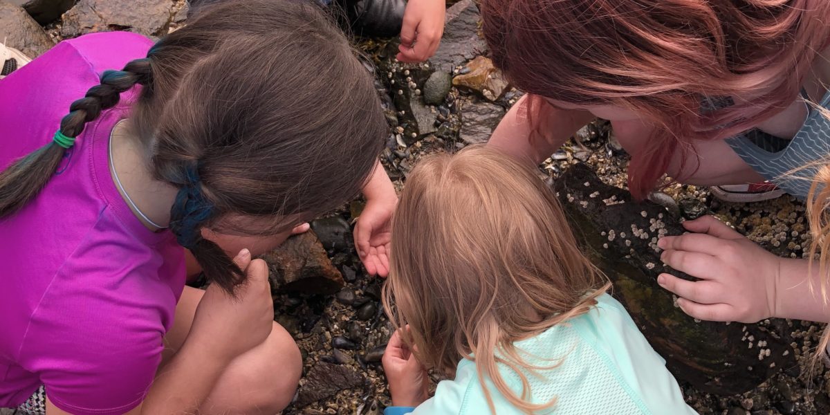 Intertidal Exploration with Maine Outdoor School