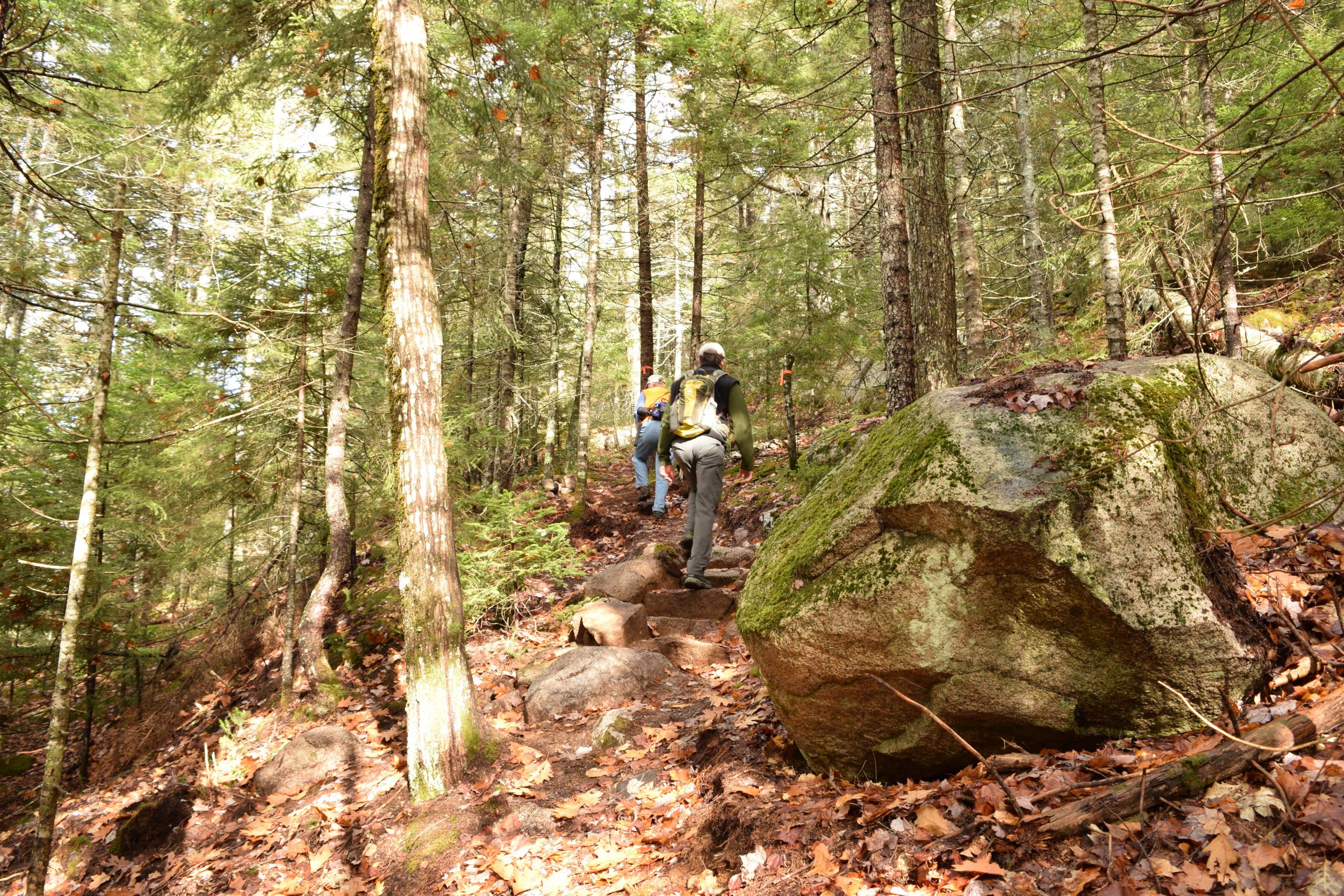 Schoodic Connector Trail Frenchman Bay Conservancy