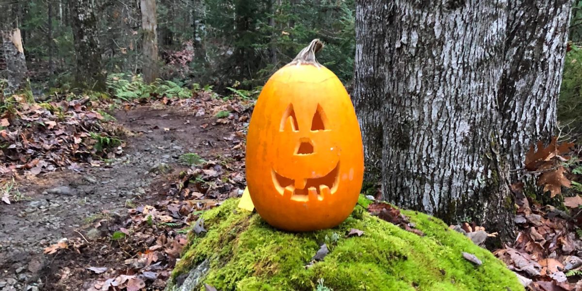 Pumpkin Carving at Tidal Falls Preserve, Sunday, October 25, 2021