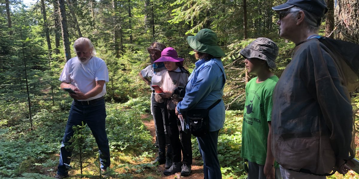 Self-Guided Fern Hike at Simon Trail