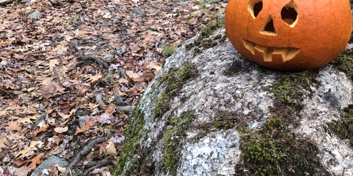 Thursday, October 28, Pumpkin Hike at Jordan Homestead: 4:00PM Arrival