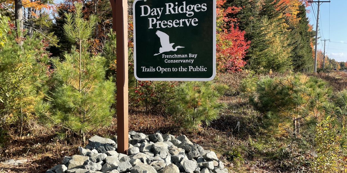 Spring Hike Series 2022: Introduction to Day Ridges Preserve