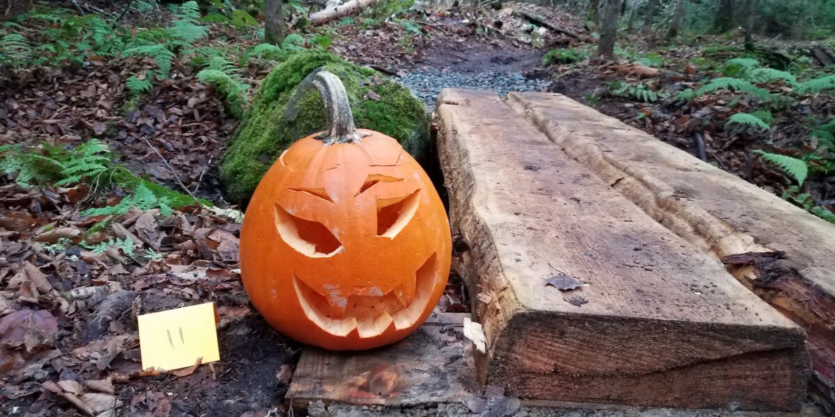 Sixth Annual Pumpkin Hike at Jordan Homestead Preserve