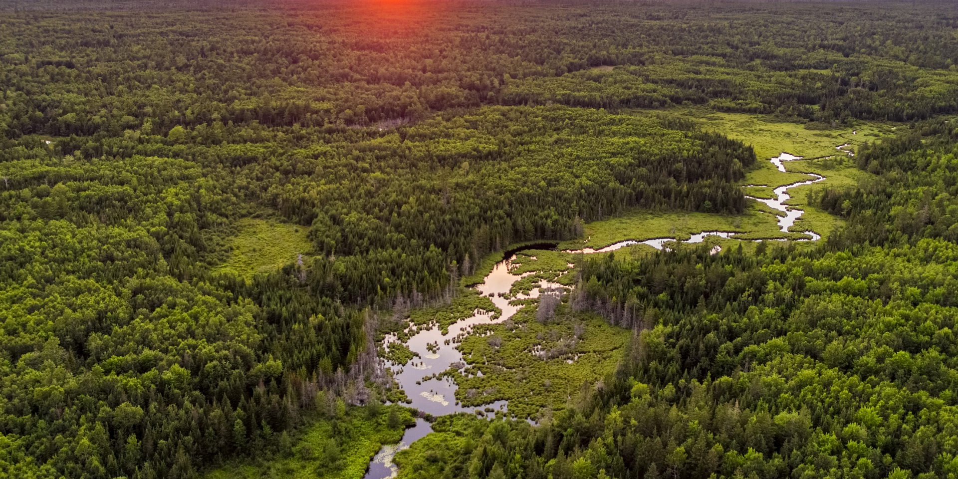 Frenchman-Bay-Conservancy-6