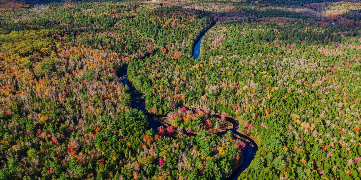 Expanding Conservation Along the West Branch Union River
