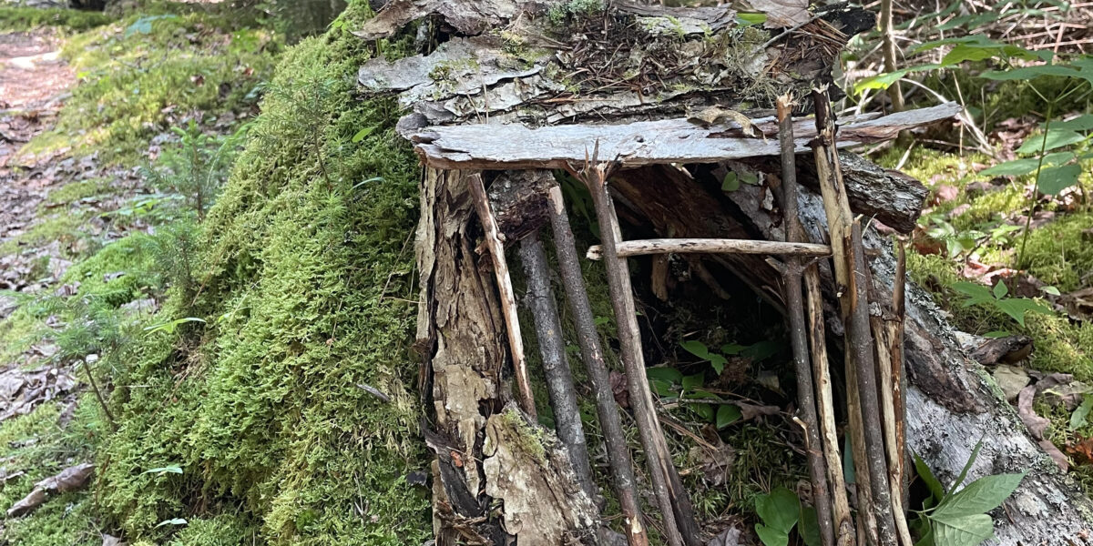 Fairy House Trail