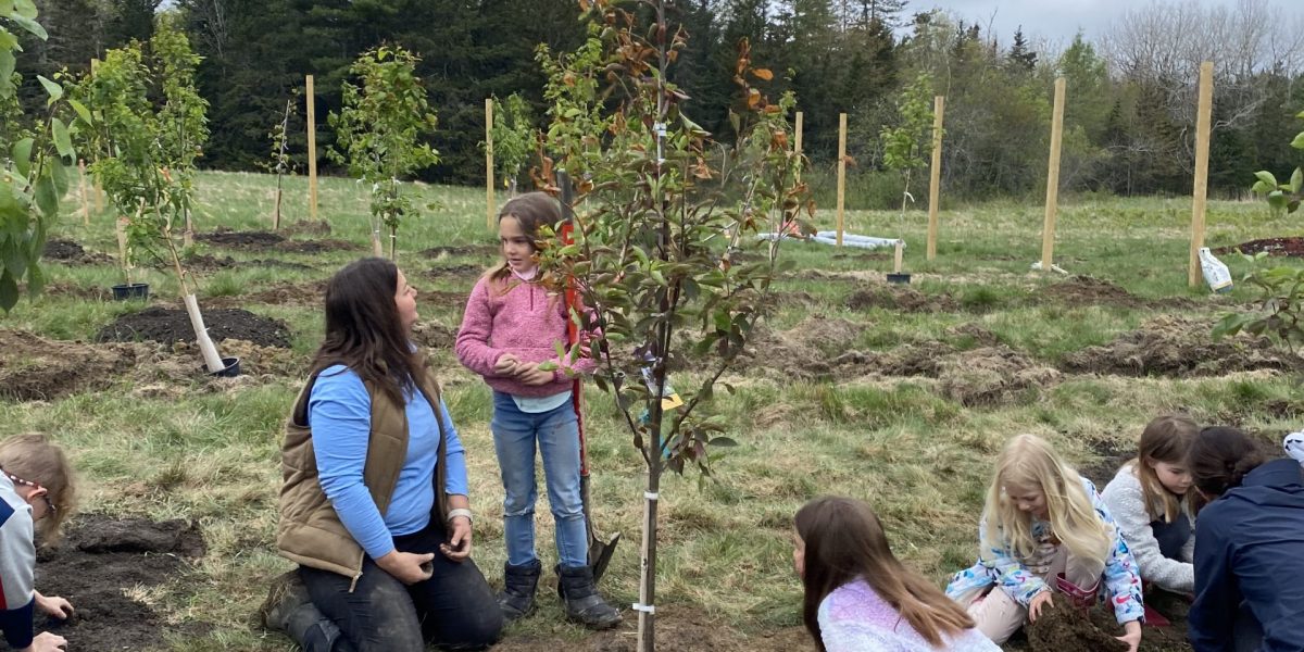 Jordan Homestead: Nursery Spring Clean-Up 