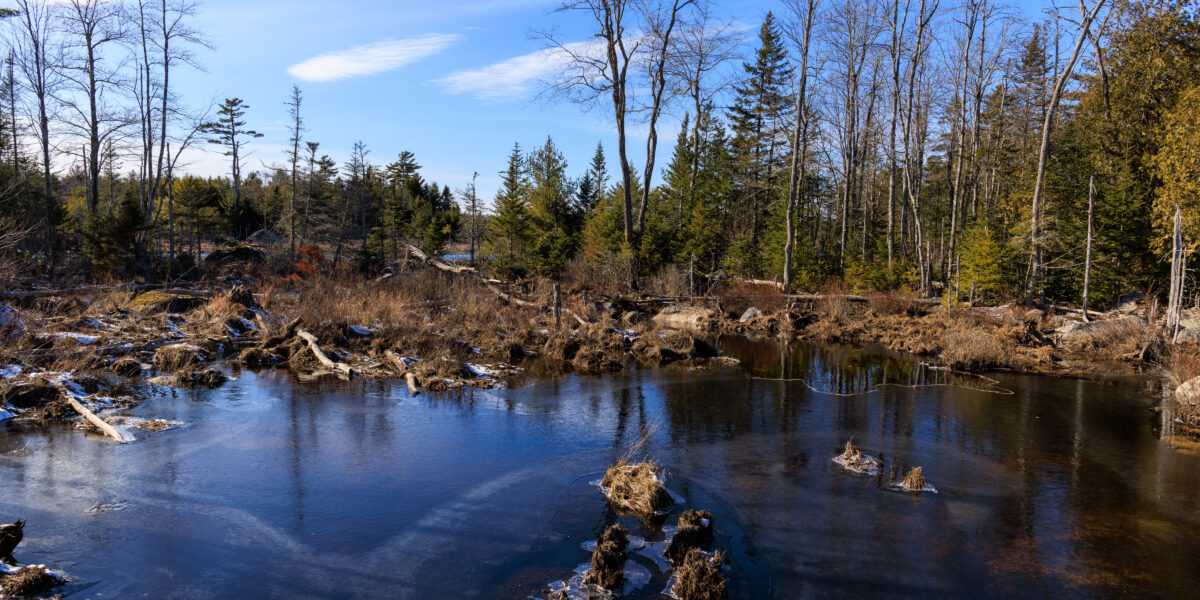 FBC Conserves Largest Acquisition to Date: 1,921 Acres Abutting Green Lake in Ellsworth