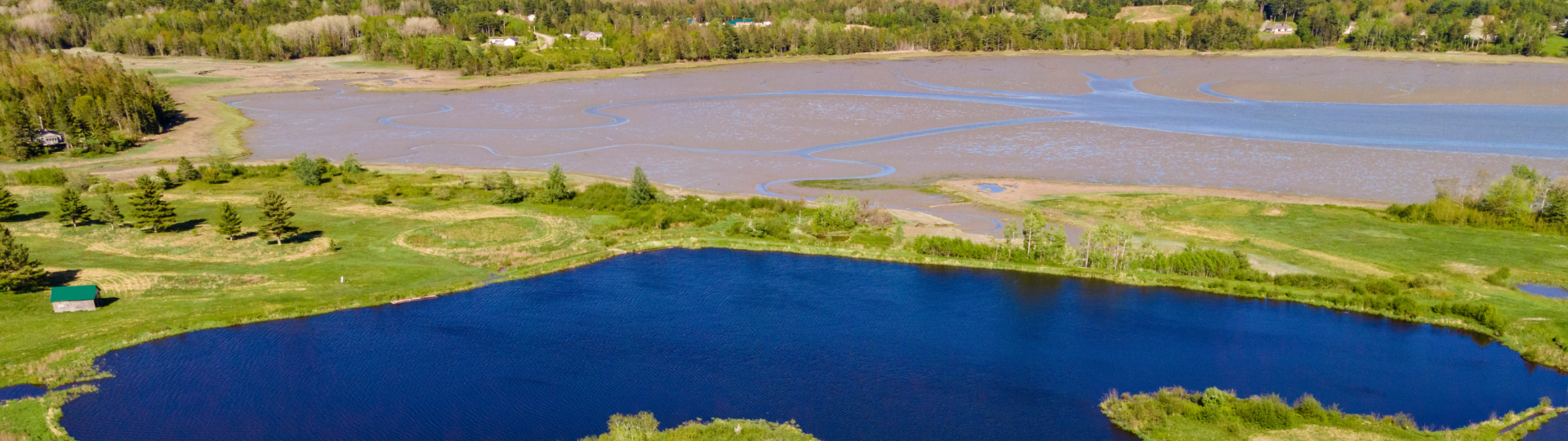 Tidal Salt Marsh Restoration at Jordan River Preserve in Trenton Maine