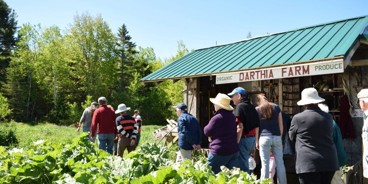 FBC Farm Day: Walking Tour of Darthia Farm