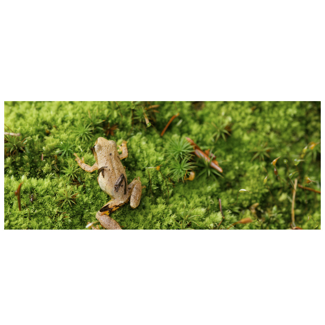 Discover Nature Hike (4)