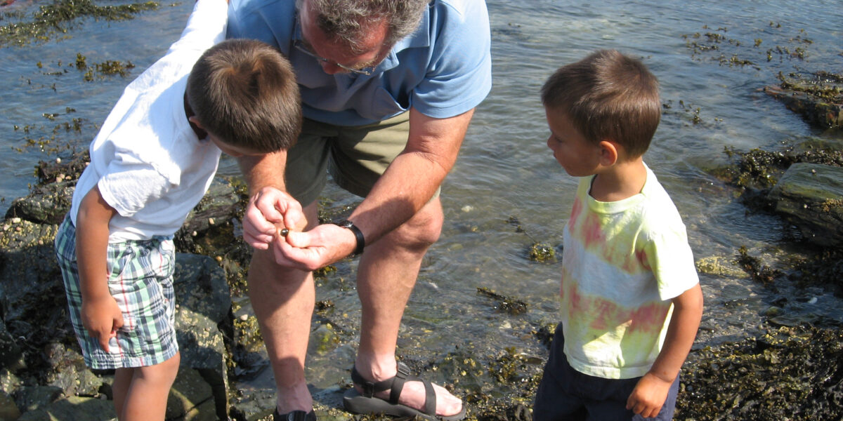 Intertidal Exploration at Tidal Falls