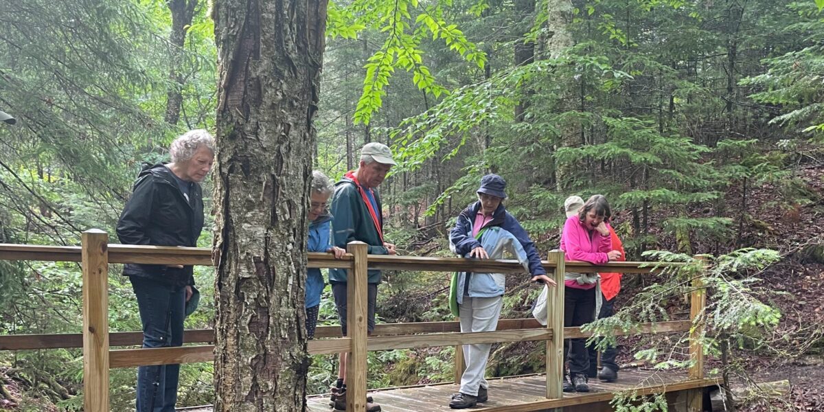 Spring into Nature: A Naturalist Hike at Jordan Homestead