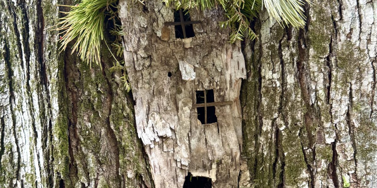 Fairy Houses by the River