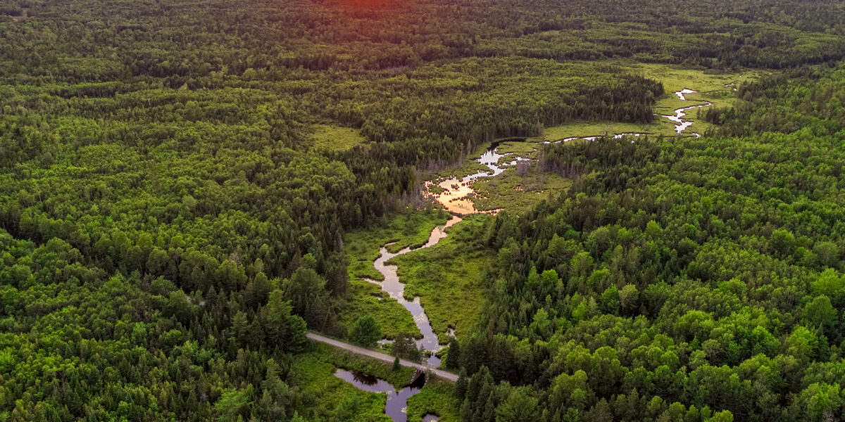 Frenchman Bay Conservancy earns national recognition for strong commitment to public trust and conservation excellence