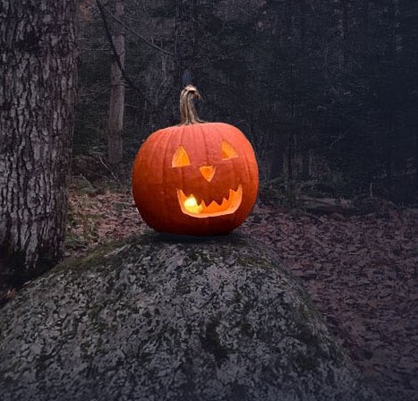 Frenchman Bay Conservancy’s Seventh Annual Pumpkin Hike