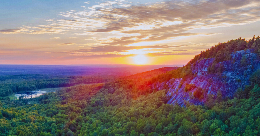 Social Media Content-2