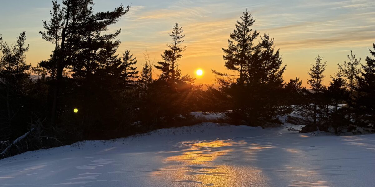 Cabin Fever Reliever 2026