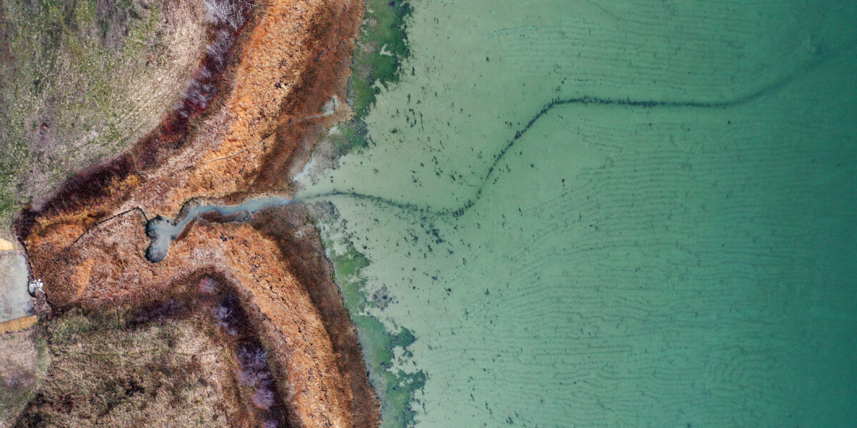 Planting at Jordan River Preserve: Volunteer Event