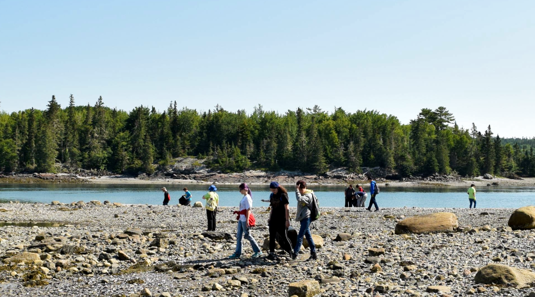Frenchman Bay & Taunton Bay Shoreline Clean-Up
