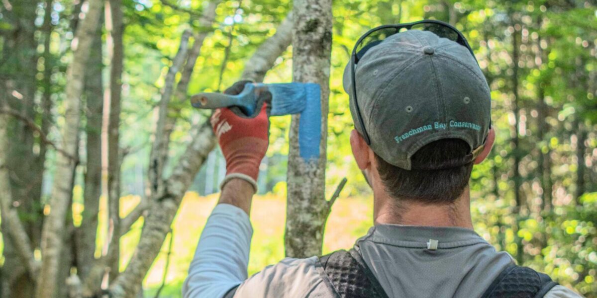 Maintenance Monday: Volunteer Trail Day