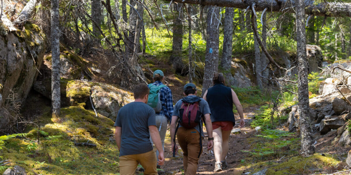 Rooted Together: A LGBTQ+ Naturalist Walk