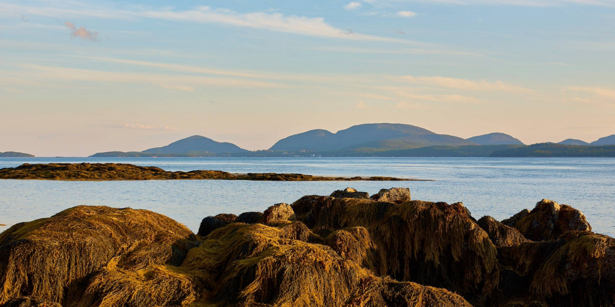 Visions of  Frenchman Bay