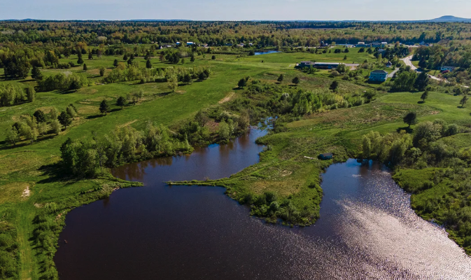 Guided Birding Walk at Jordan River Preserve