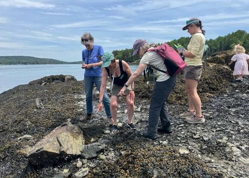 Tide Talks: Tide Pool Exploring