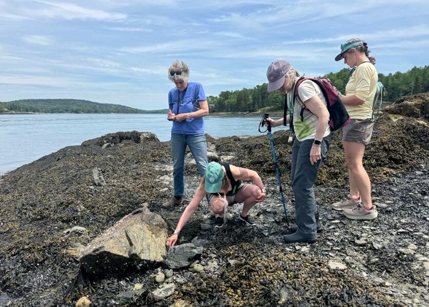 Tide Talks: Up Close with Seaweeds