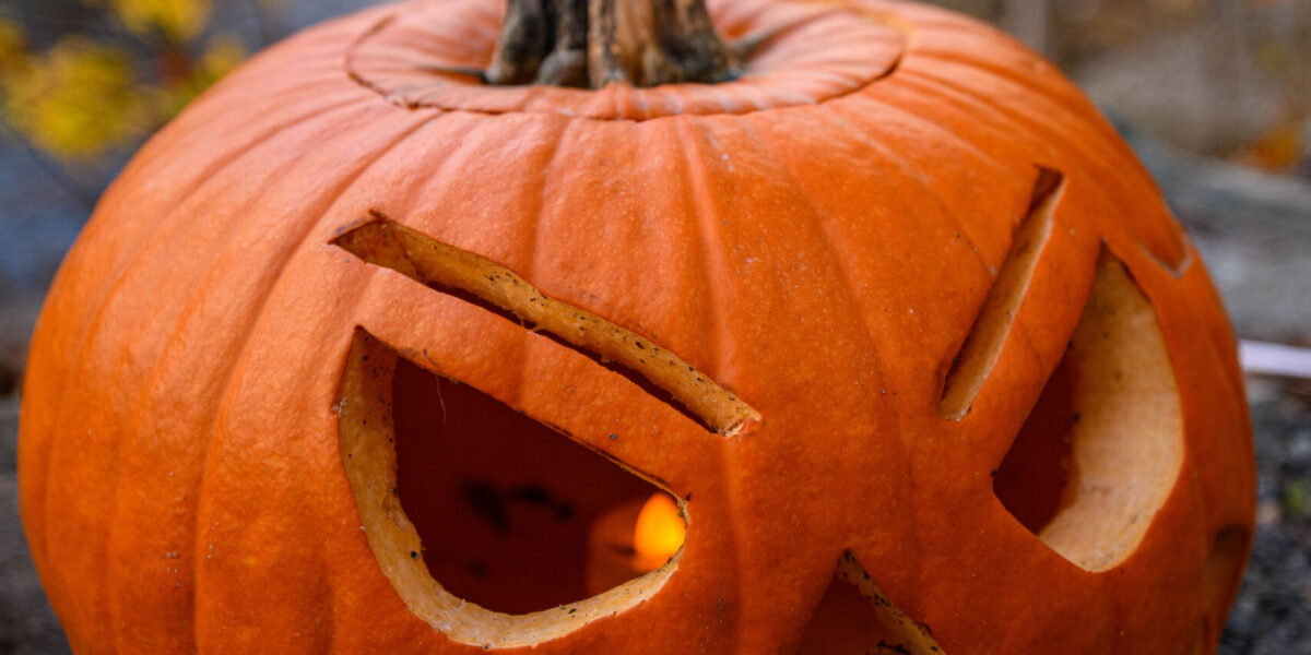 Pumpkin Hike Voting