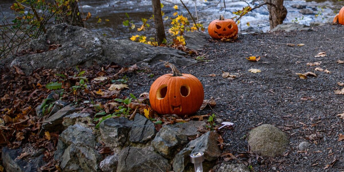 Pumpkin Hike Grand Opening & Lighting